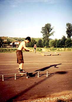 dani - board slide